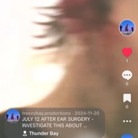 AA FREESTYLE / THE BARRZ - Single - Lil Tree Treezy