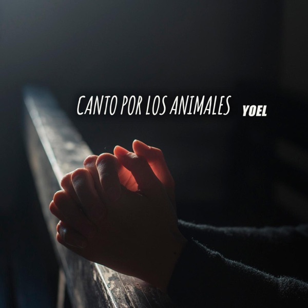 Canto por los animales