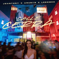 Calle Cerra - Single - Joantony, Anubiis & Leromeo