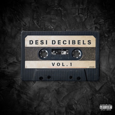 Desi Decibels V1