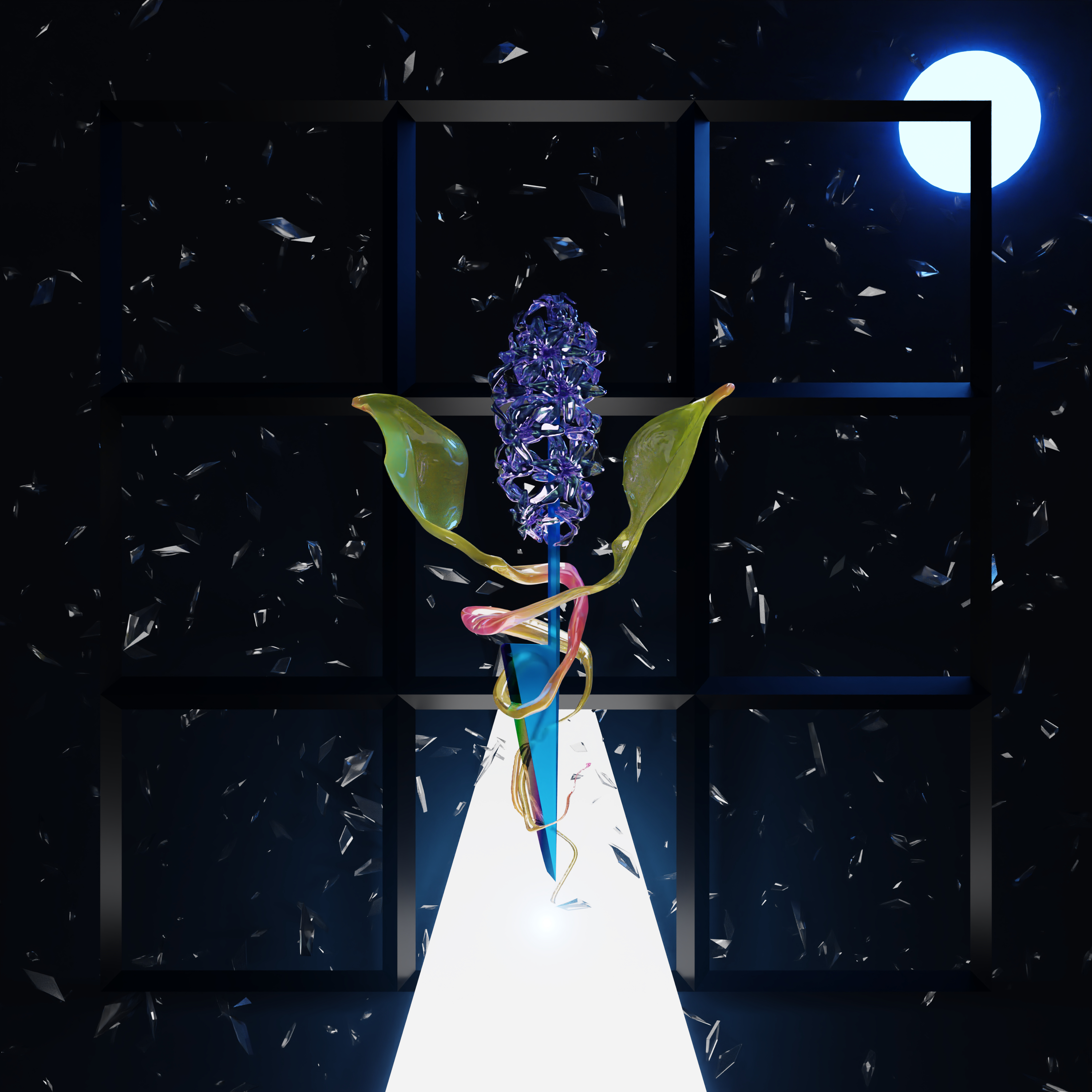 A Room with Many Doors: Night