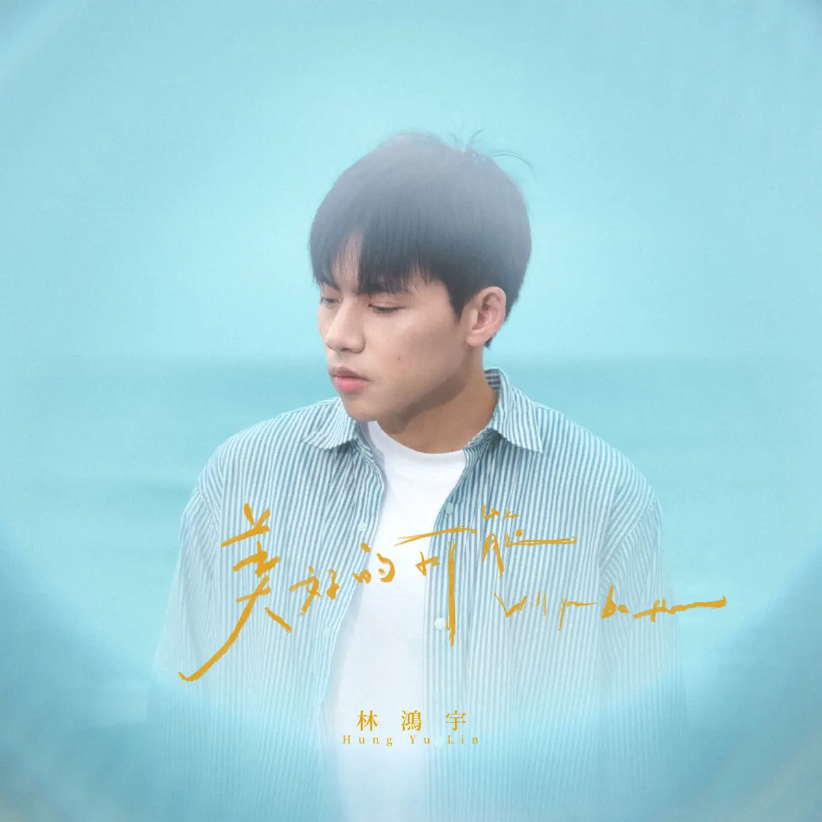 林鴻宇 - 美好的可能 - Single (2024) [iTunes Plus AAC M4A]-新房子