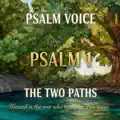 The Two Paths