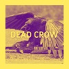 DEAD CROW (feat. Dillon Daniel) - Single