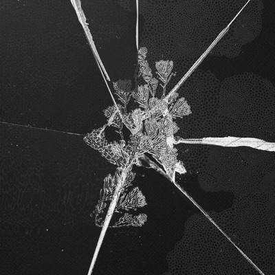 stayhere(4AWHILE)+ant/ara - Single