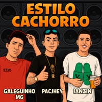 Estilo Cachorro - Single - Pacjhey, galeguinho mg & Ianzin