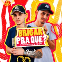 Brigar pra Que (feat. DJ 2w) - Single - MC Igão & MC Gui Andrade