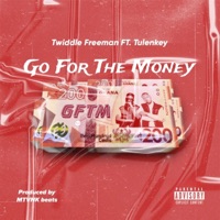 Go for the Money - Single - Twiddle Freeman & Tulenkey