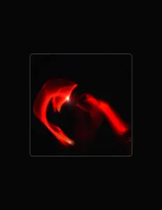 Hör dir Ayanami an, schau dir Musikvideos an, lies die Biografie, finde Tourdaten und mehr!