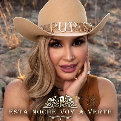 Esta Noche Voy A Verte - Single