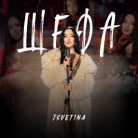 Shefa - Single - Tsvetina