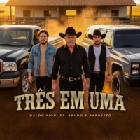 Três em Uma (feat. Bruno & Barretto) - Single - Naldo Fiori