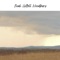I'll Be Your Tree - Noah Gittell lyrics