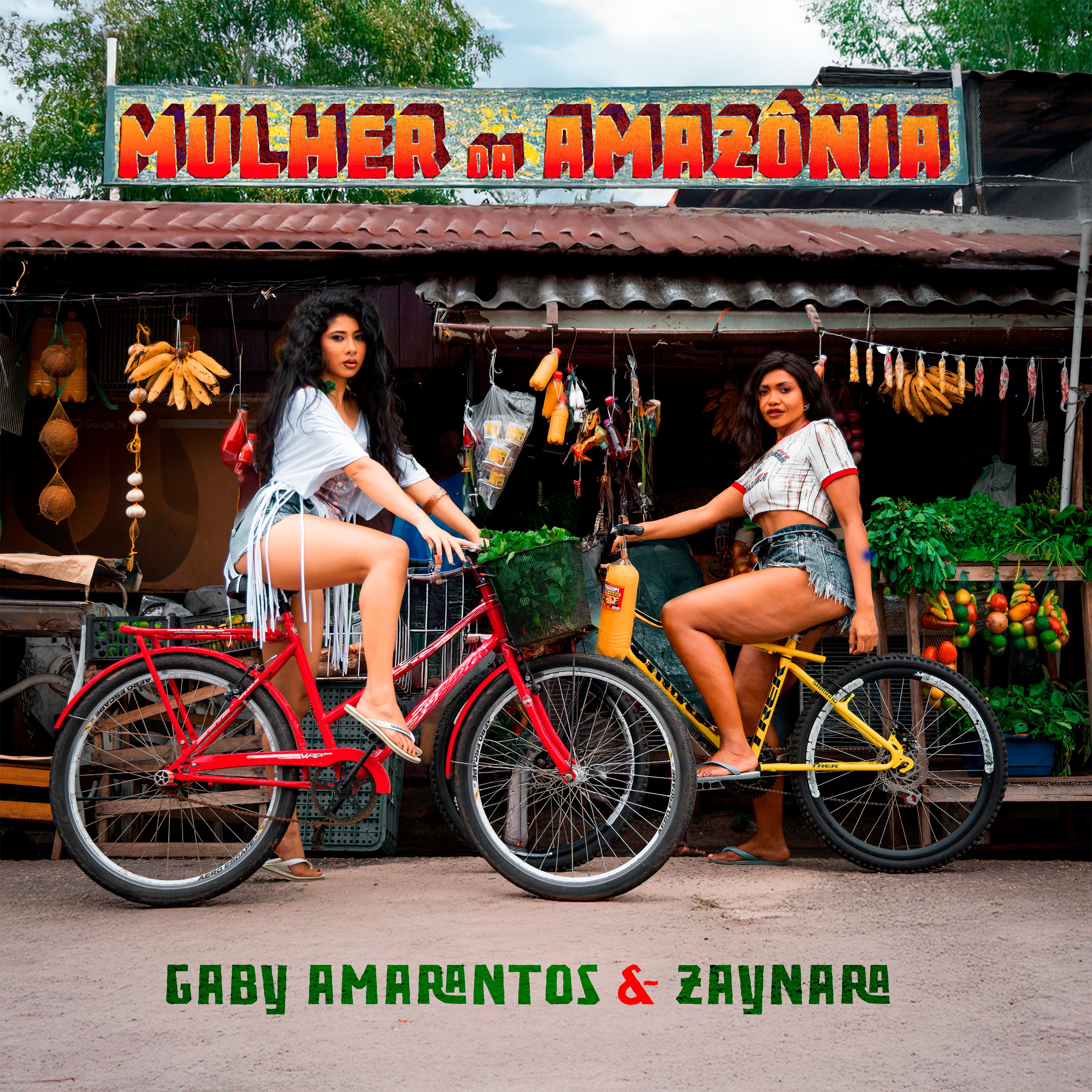 Mulher da Amazônia - Single