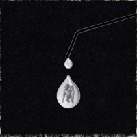 unshowered_gorilla_grip (feat. Salem Stakes) - Single - plane_walker, nAvvvi ‎ & Lord Distortion