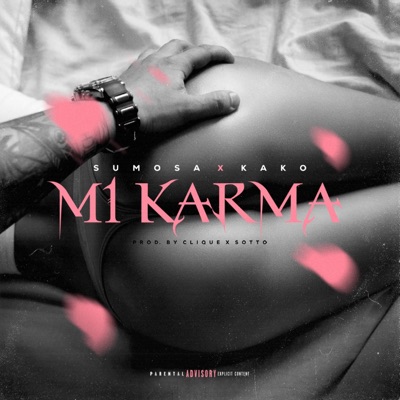 Mi karma - Single