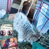 Sube - Single - Wavy Montana