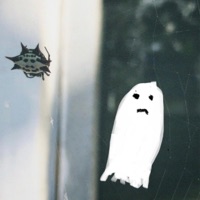 Album cover for Web by Ghost Fan Club