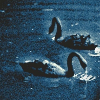 40r3vr (forever) - Single