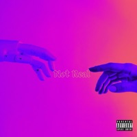 Not Real - Single - aroomfullofmirrors & Neko Deshawn