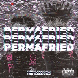 PERMAFRIED Thotless Gilli