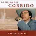 El Bronco Fagiado