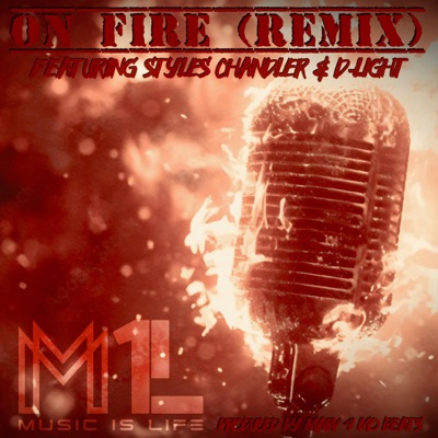 On Fire (feat. Styles Chandler & D-Light) [Remix] - Single