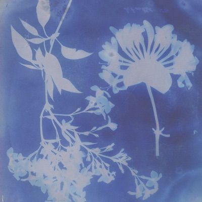 Siempre + Lento - Single