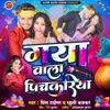 Gaya wala Pichkariya - Single