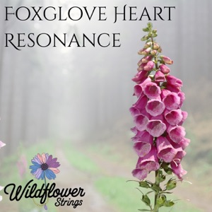 Foxglove Heart Resonance - EP