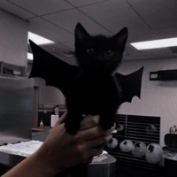 WITCHBLADES (feat. discent) - Single - xenshel