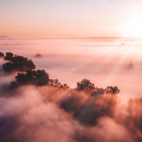 Prelude in C - Single - David L Tolley