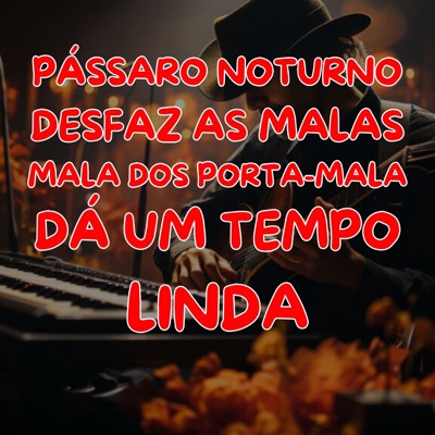 Banda Hit Seresteiro - Pássaro Noturno / Desfaz as Malas / Mala dos Porta-Mala / Dá um Tempo / Linda