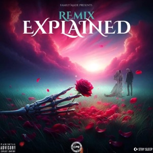 EXPLAINED (feat. Anoyd) [Alternate Remix]