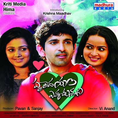 Hrudhayam Ekkadunnadi (Original Motion Picture Soundtrack) - EP