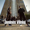 Joninės Vilniuj (feat. Erwa) - Single