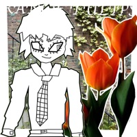 ORANGE TULIPS - Single - S1Ninja
