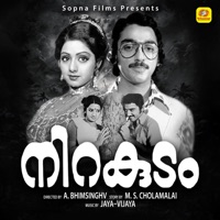 Nirakudam (Original Motion Picture Soundtrack) - EP - Jaya Vijaya & Bichu Thirumala