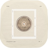 the polyester tapes vol 2 - EP - Triune