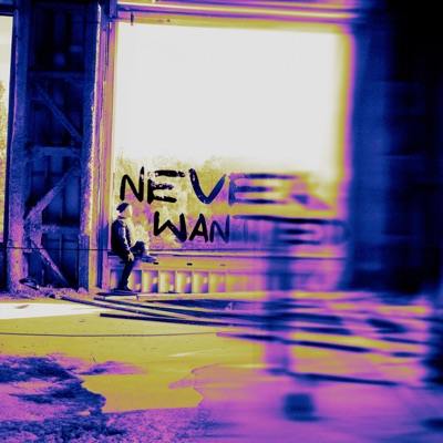 Never Wanted - Single