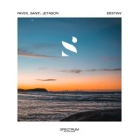 Destiny - Single - Nivek & Santi
