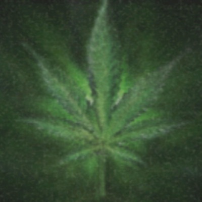 All Green, No Lie (feat. GFUNKBOY$ & DEXU$) - Single