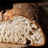 MULTIPLICA - Single - Chuy Pacheco