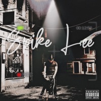 Spike Lee - Single - SNM Brizzy