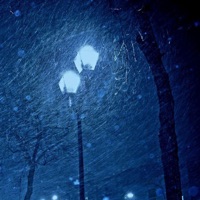 light rain - Single - Kyuubi, Talented1337 & L7C