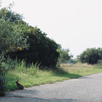 erie (feat. Hoovie, POSTERCHILD & salem shawtyyy) - Single