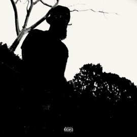 WHO DA HELL IS THIS? ilywilky