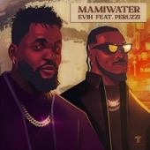 Mamiwater (feat. Peruzzi) [Remix] artwork