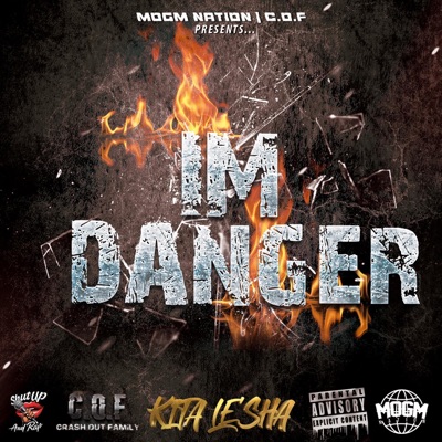 Im Danger - Single