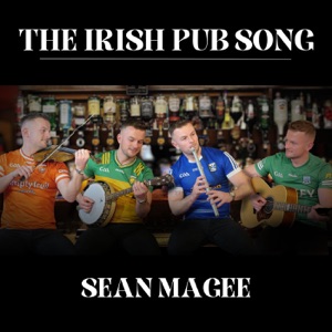 The Irish Pub Song - Single
